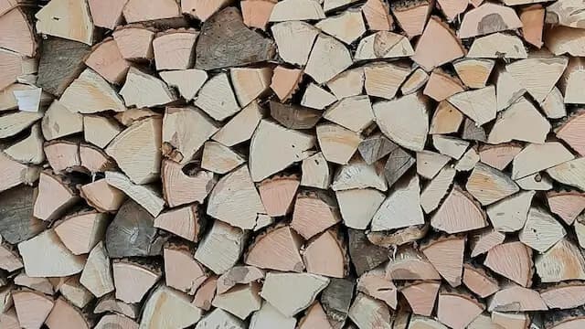 Foto uskupení dřevin