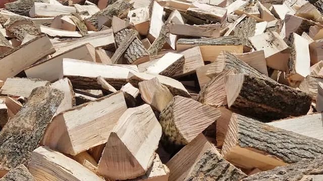 Foto uskupení dřevin