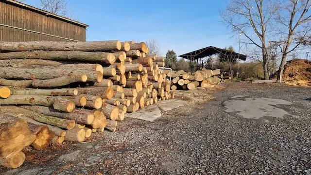 Foto z galerie